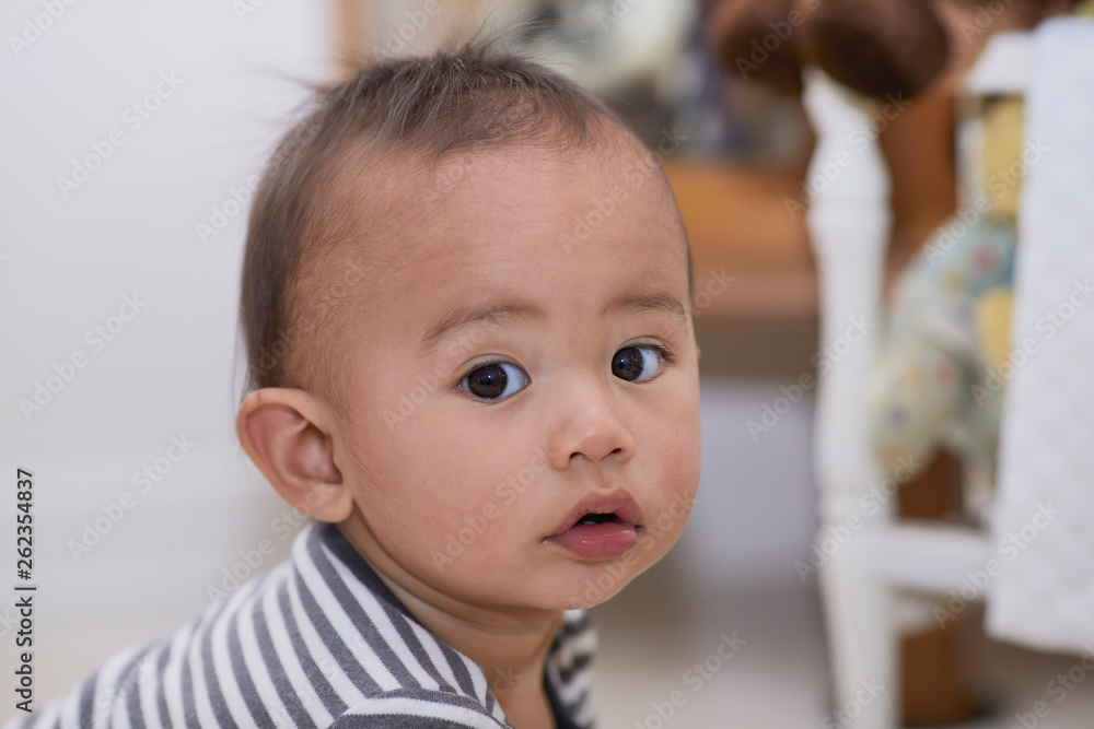 Cute Toddler looking at the Camera Cute Toddler looking at the Camera