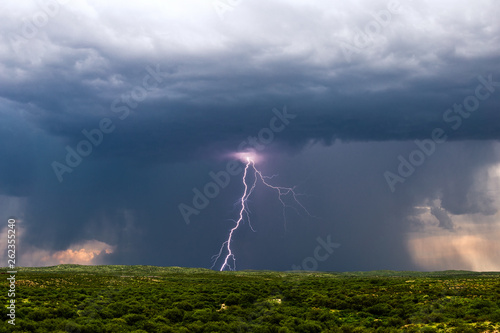 Lightning bolt and thunderstorm cloud over a field