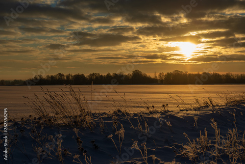 Fototapeta Naklejka Na Ścianę i Meble -  snow covered fields in winter countryside
