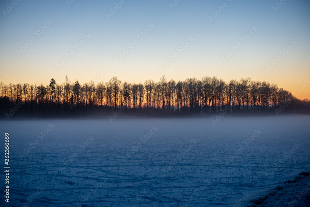 snow covered fields in winter countryside