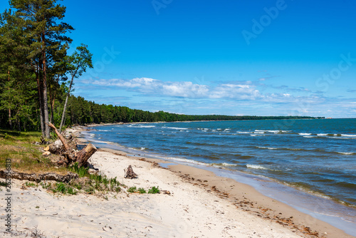 rocky beach in Hiiumaa island Estonia photo