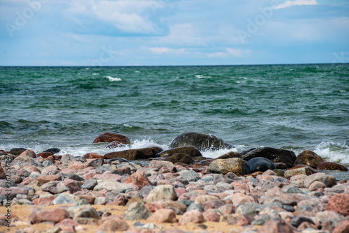rocky beach in Hiiumaa island Estonia