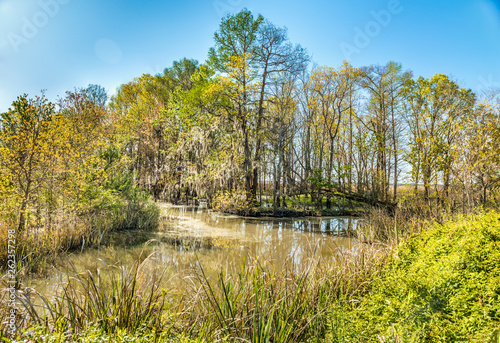 Santee River marsh, South Carolina photo