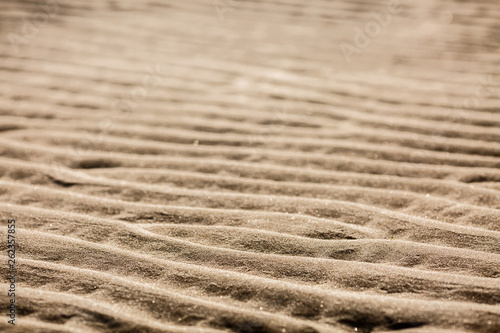 Rippled sand on the beach in the summer during low tide