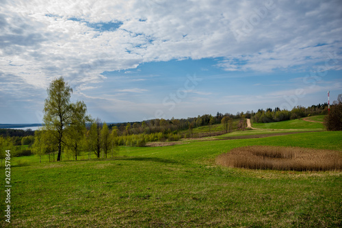 Fototapeta Naklejka Na Ścianę i Meble -  fresh green meadow fieldswith grass pattern in wet summer