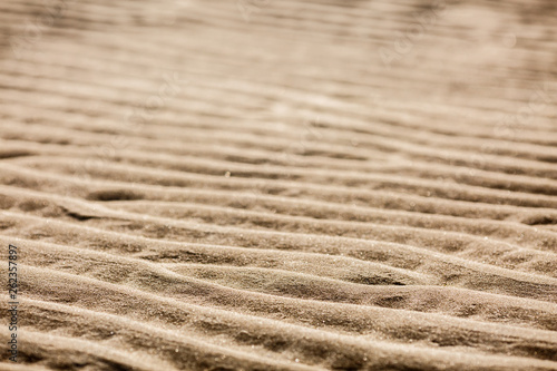 Rippled sand on the beach in the summer during low tide