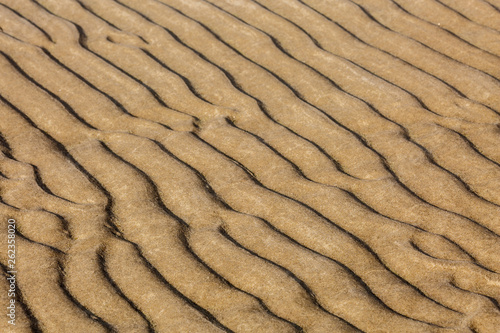Rippled sand on the beach in the summer during low tide