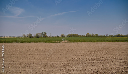 Countryside landscape in Rovigo