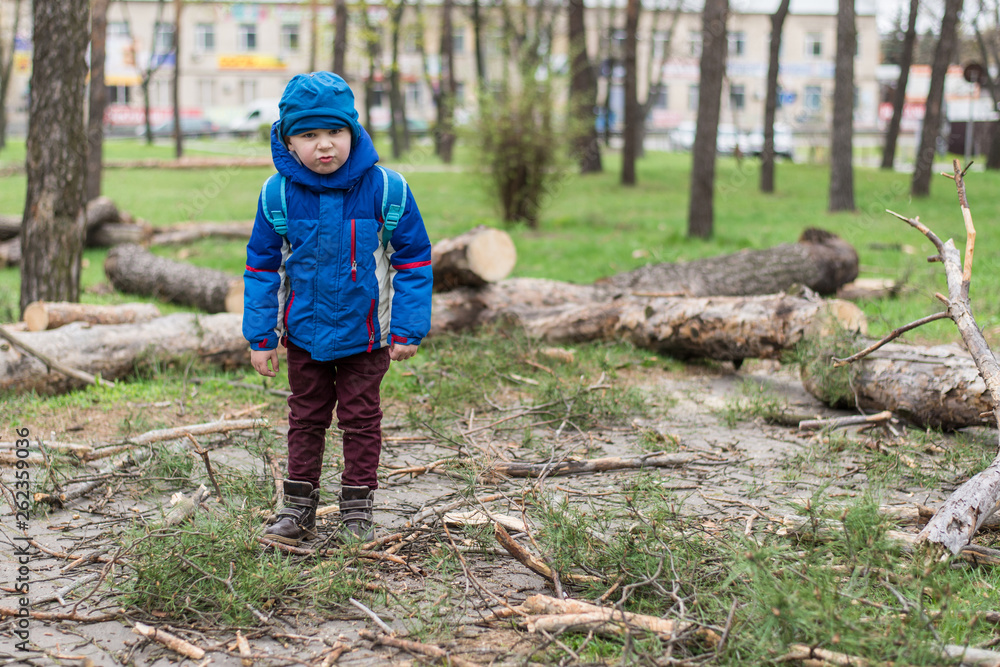 Cutting down trees and a little boy. Cutting down trees and a little boy.