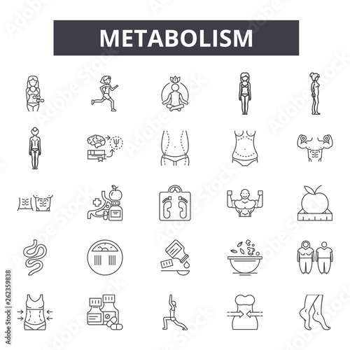 Metabolism line icons, signs set, vector. Metabolism outline concept illustration: metabolism,fitness,healthy,weight,diet,health,metabolic