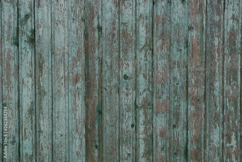 gray green wooden texture of old worn boards in the wall of the fence