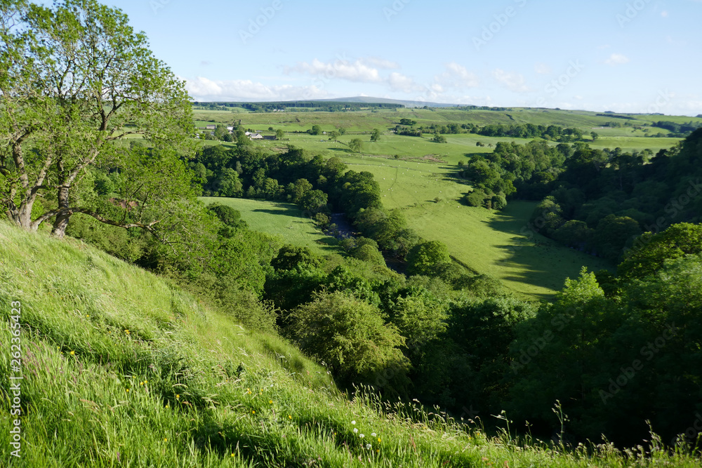 Obraz premium landscape with green field and blue sky
