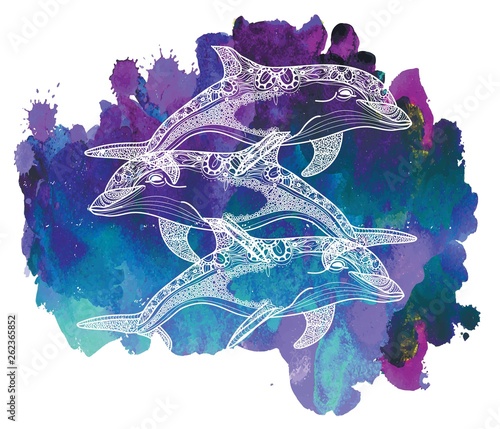 The bottlenose dolphin. Meditative coloring. Mandala, dudling drawing. Drawing by hand. Coloring for children. Points, stripes, arrows.