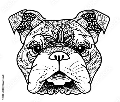 The head of a dog. English bulldog. Drawing manually in vintage style. Meditative coloring. Coloring for children. Arrows, points, patterns.
