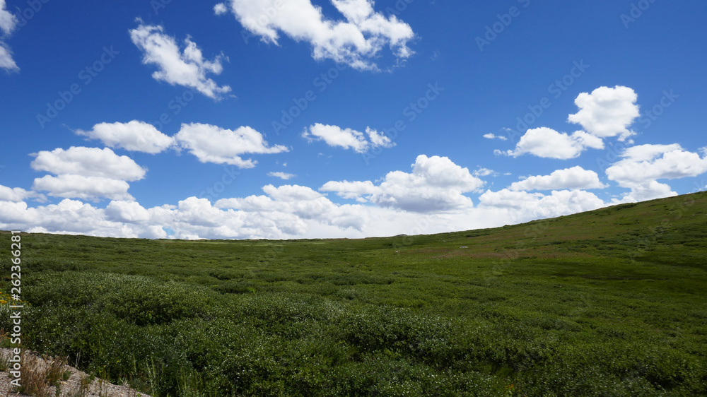 Naklejka premium field and clouds