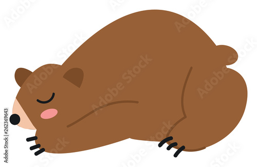 A brown bear sleeping vector or color illustration