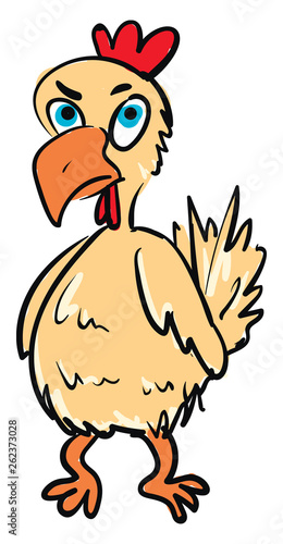 A chicken with an angry expression vector or color illustration