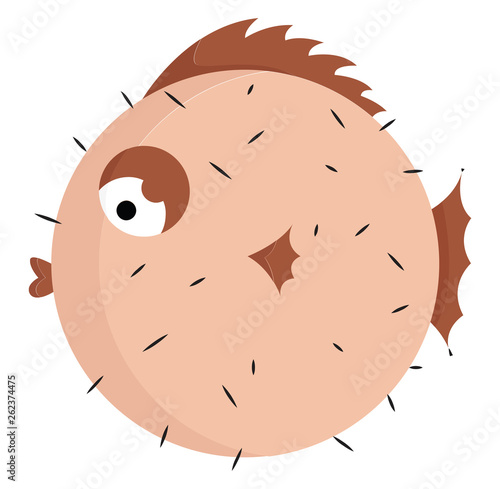 Brown-colored puffer fish vector or color illustration