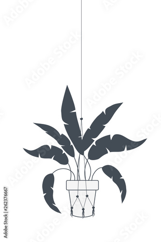 houseplant on macrame hangers icon