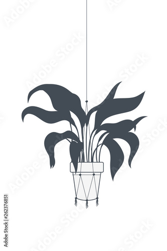 houseplant on macrame hangers icon