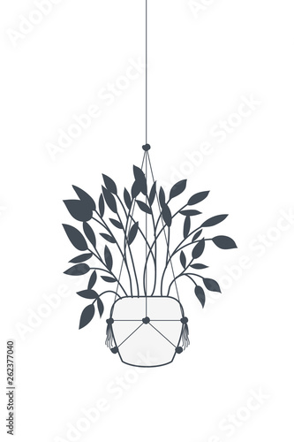 houseplant on macrame hangers icon
