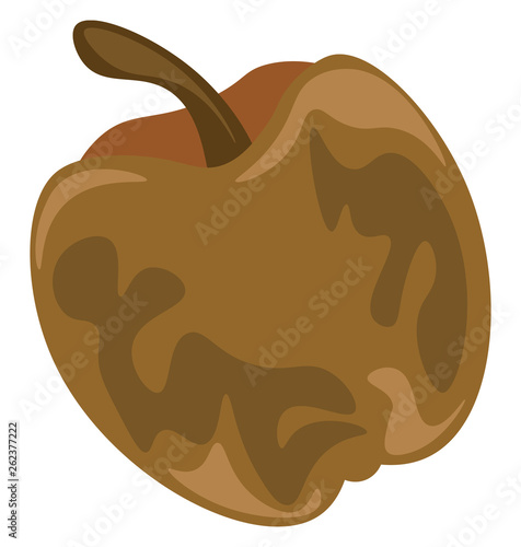 An unpleasant rotten cartoon apple in brown color vector or color illustration
