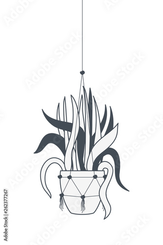 houseplant on macrame hangers icon