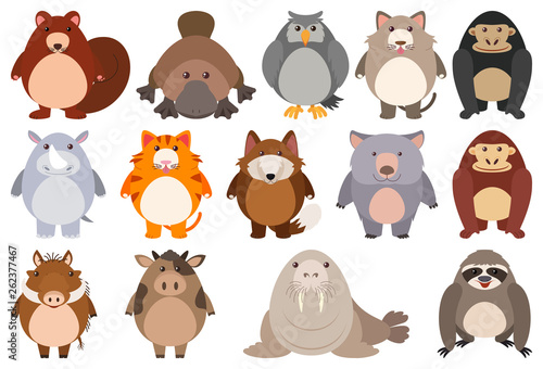 Set of cartoon character