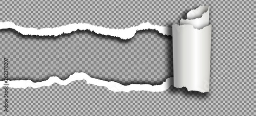 Torn paper. Ripped rolled paper on transparent background. Vector realistic illustration