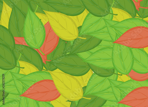 A fallen leaf background