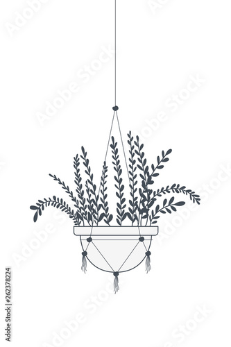 houseplant on macrame hangers icon