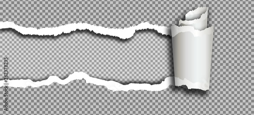 Torn paper. Ripped rolled paper on transparent background. Vector realistic illustration