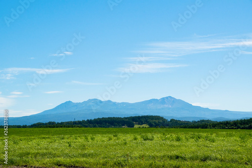 緑の草原と夏山 © kinpouge