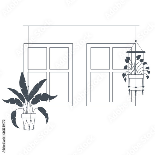 houseplants on macrame hangers icon