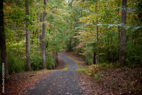 Country Road in Fall © JennDoesStock