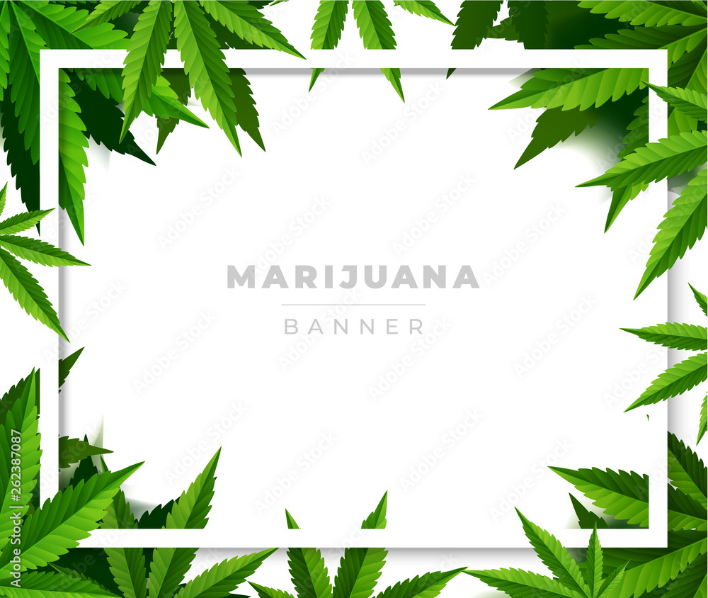 custom made wallpaper toronto digitalGreen cannabis leaf drug marijuana herb Background.
