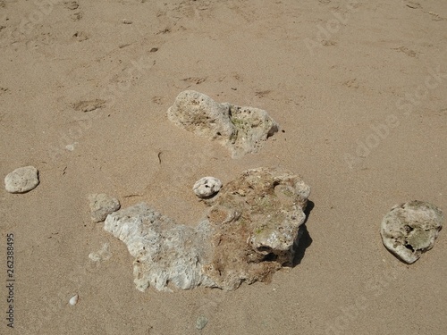 coastal rocks. brown rocks scattered along sandy beach. Seascape