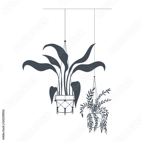 houseplants on macrame hangers icon