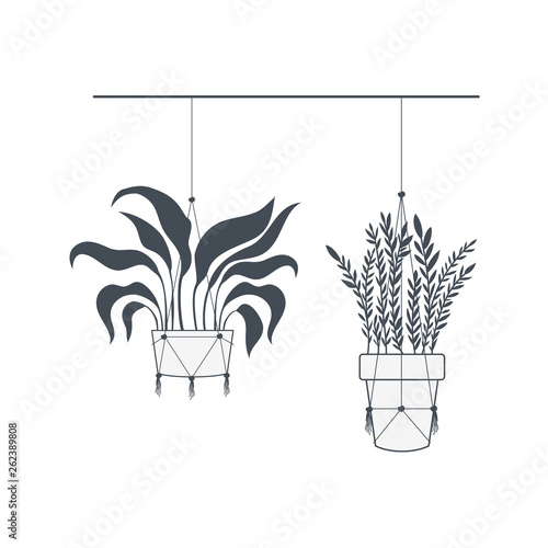 houseplants on macrame hangers icon