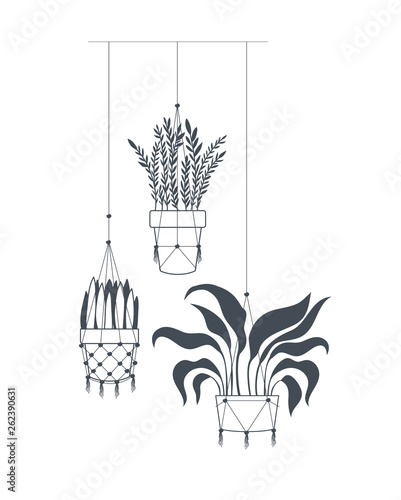 houseplants on macrame hangers icon