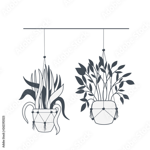 houseplants on macrame hangers icon