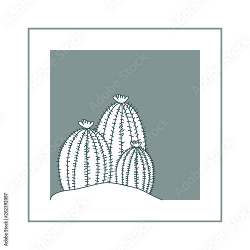 houseplants on macrame hangers and frame