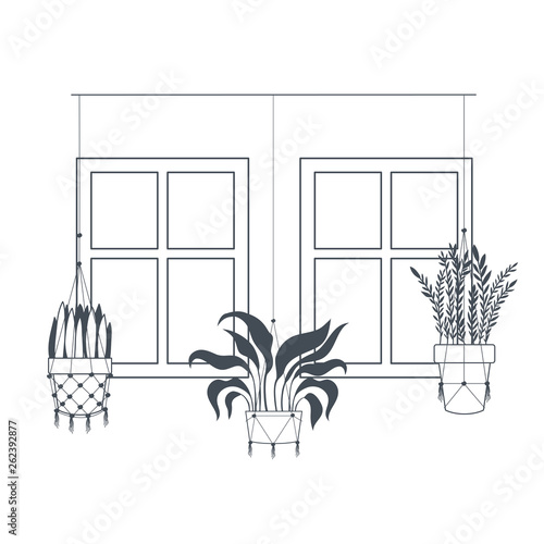 houseplants on macrame hangers icon
