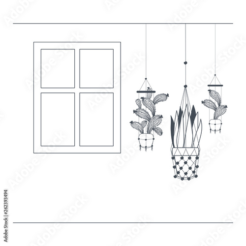 houseplants on macrame hangers icon