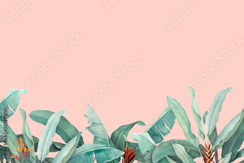 Tropical leaves background