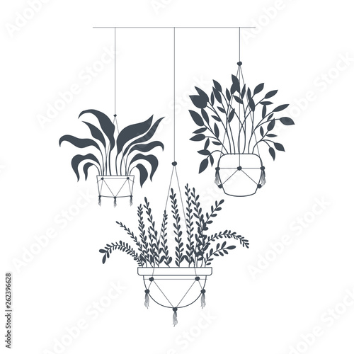 houseplants on macrame hangers icon