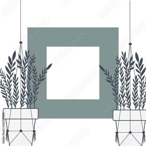 houseplants on macrame hangers and frame