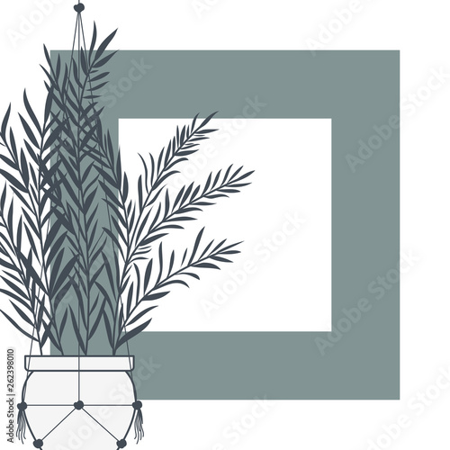 houseplants on macrame hangers and frame