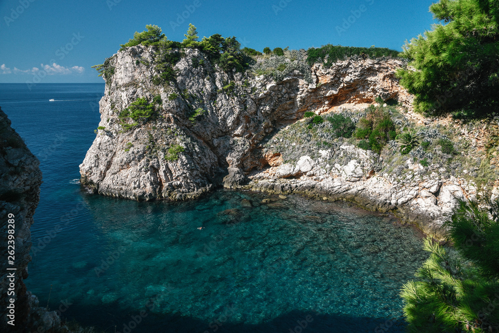 Dalmatian Coast in Dubrovnik, Croatia