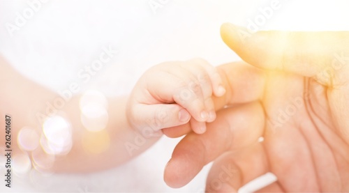 New born baby hand holding kuman hand on white background